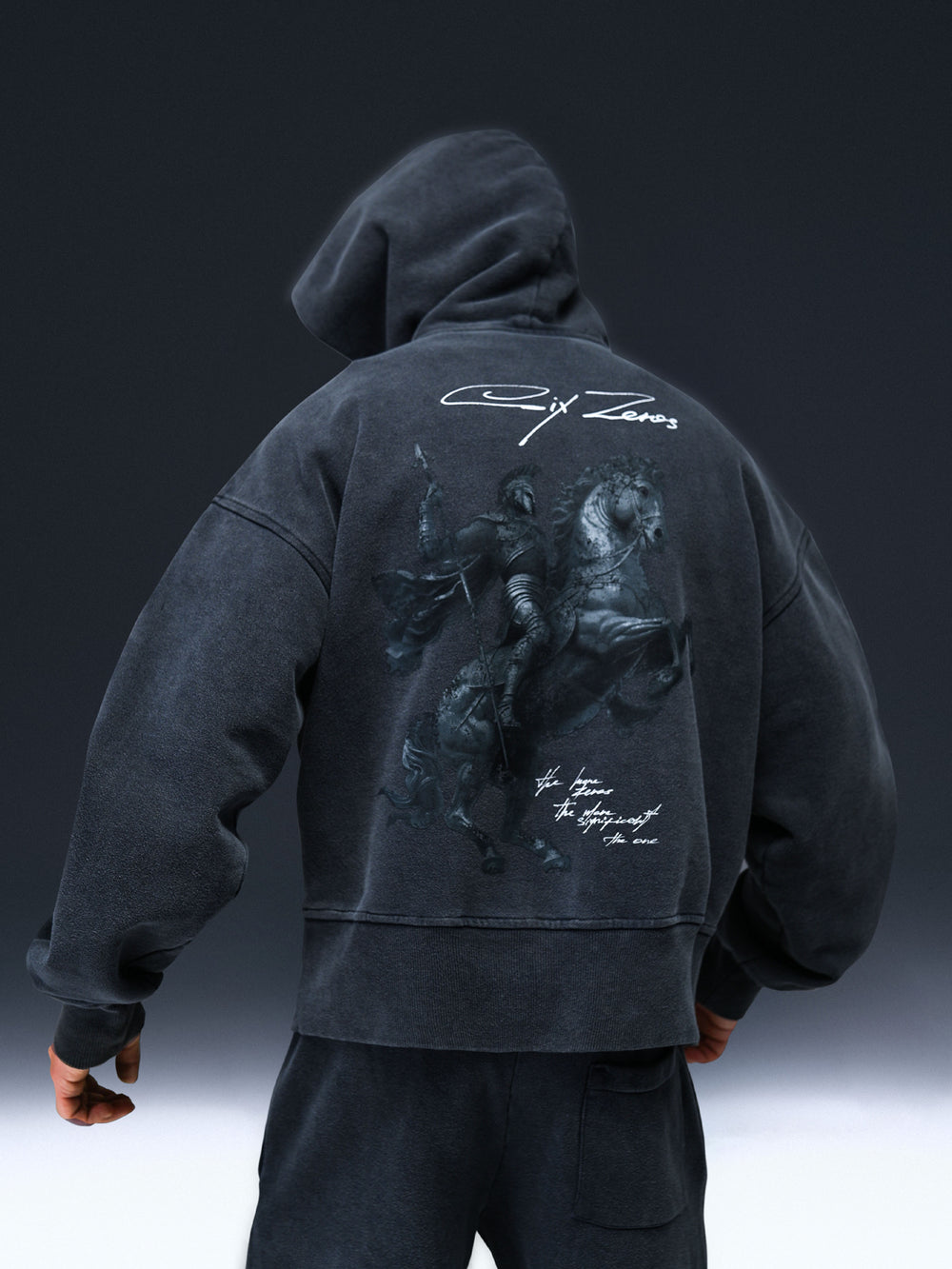 Hoodie SGV washed gray