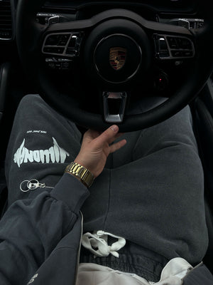 Joggers MILLIONAIRE washed gray