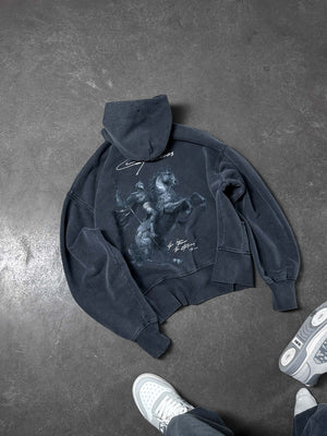 Hoodie SGV washed gray